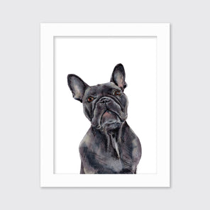 The Frenchie - Open Edition Paper Print