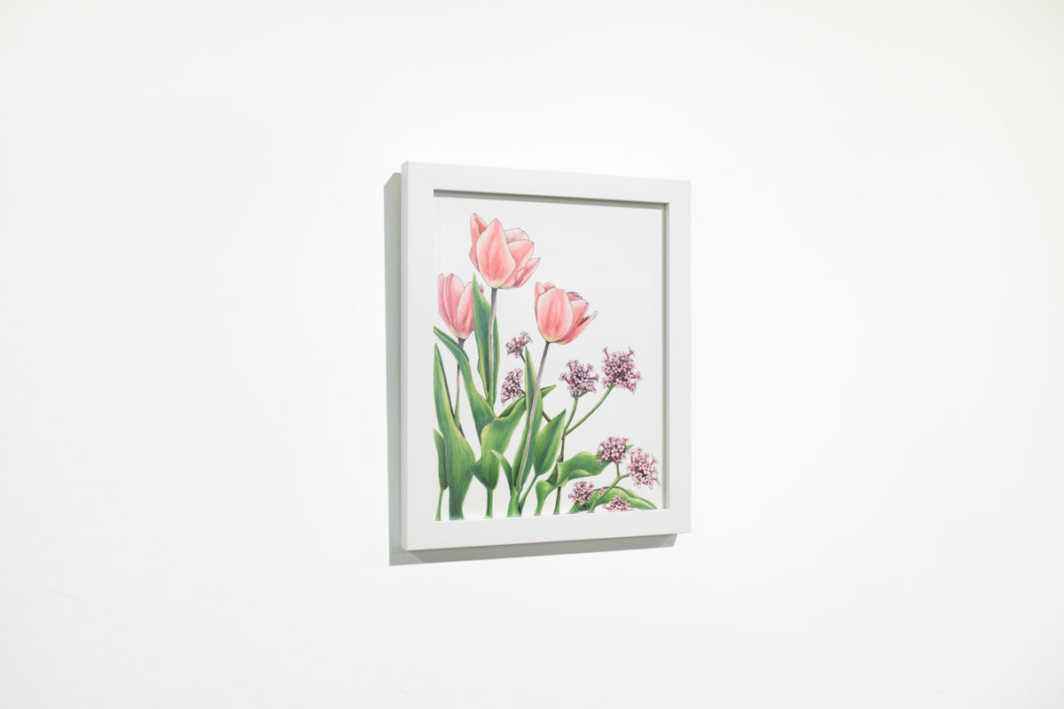Neighborhood Tulips - Original Drawing