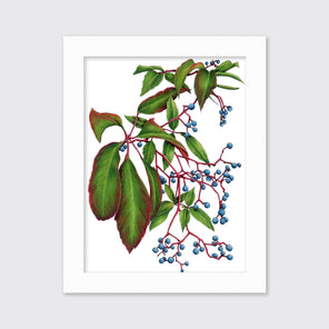 A green plant print with blue berries in a white frame hangs on a white wall.