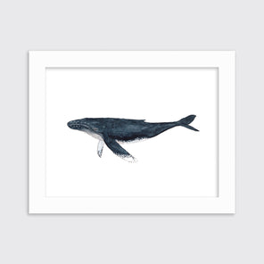 Whimsical Whale - Open Edition Paper Print