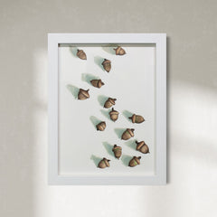 Acorns