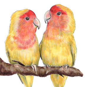 An illustration of yellow and orange parrots sitting on a branch together. 
