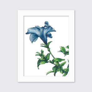 Blue - Open Edition Paper Print