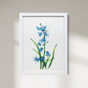 Bluebells