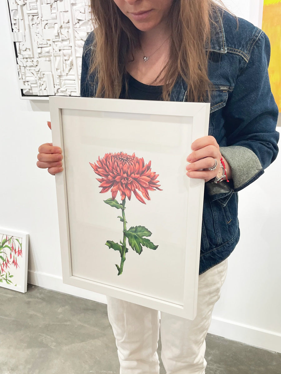 A woman wearing white pants and a blue jean jacket holds a framed botanical illustration in front of her. 