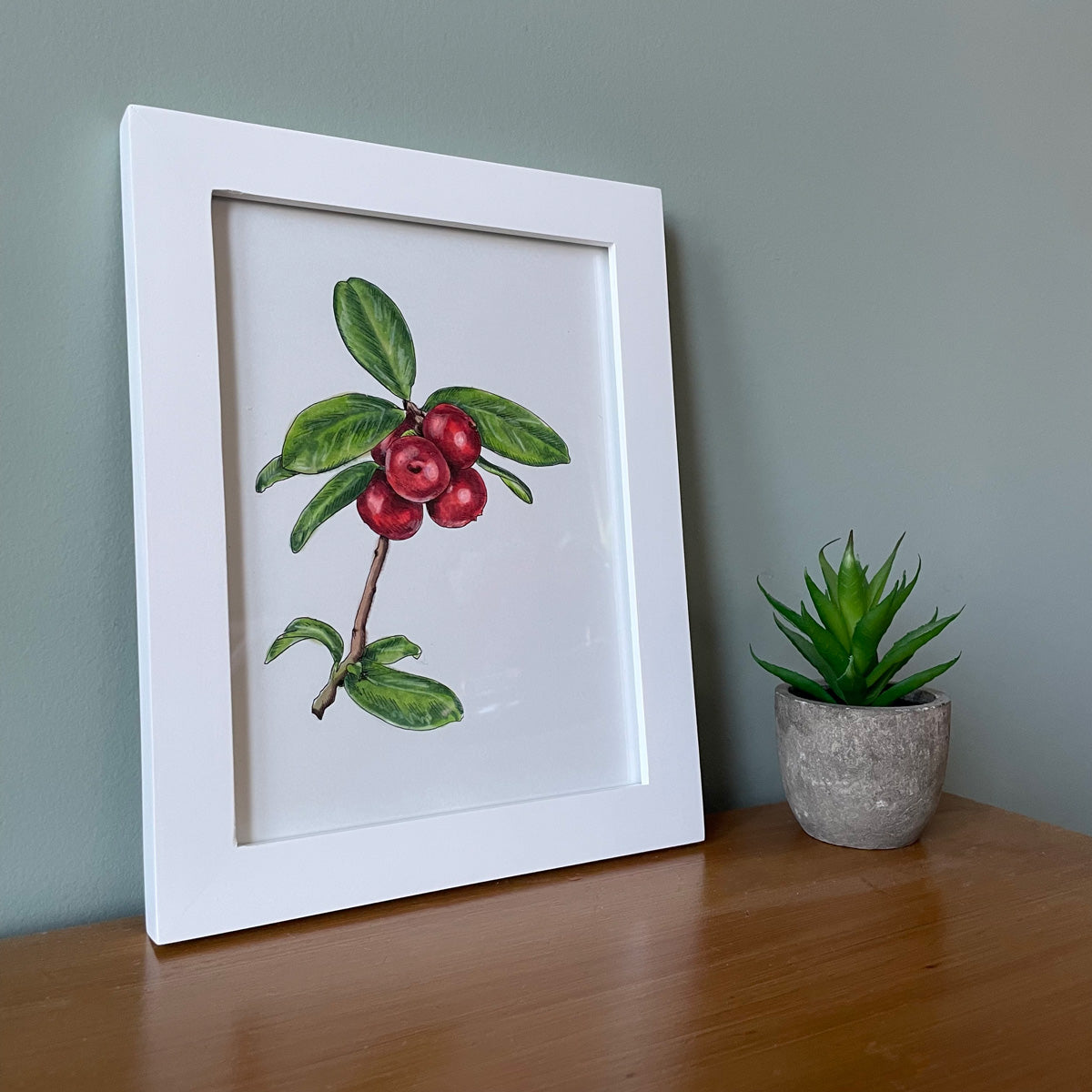 A framed illustration of cranberries rests on a wooden table surface and leans up against a green wall behind it, next to a small potted succulent in a concrete planter. 