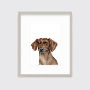 An illustration of a Dachshund dog framed in a silver frame hangs on a white wall.