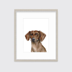 The Dachshund - Open Edition Paper Print