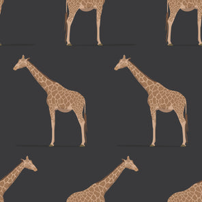 Giraffe Charcoal Wallpaper