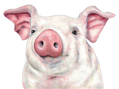 Pig