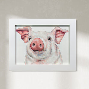 Pig