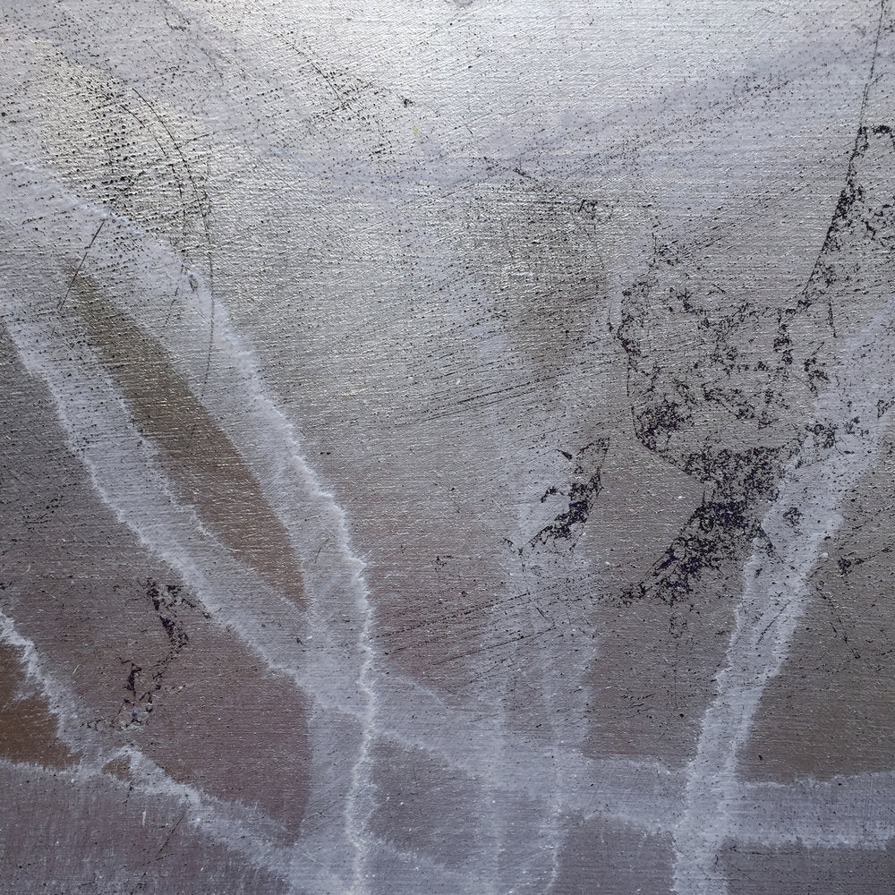 FoetidissimaDetail2.jpg
