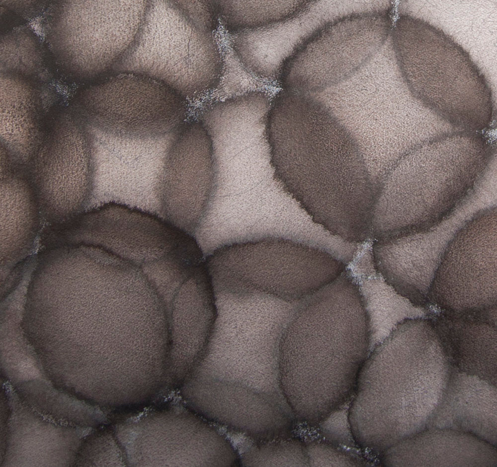 Cinquefoil detail 2.jpg
