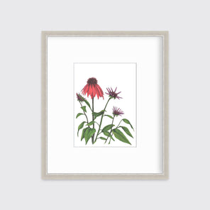 Red and purple flowers with green stems and leaves print in a silver frame with a mat hangs on a white wall.