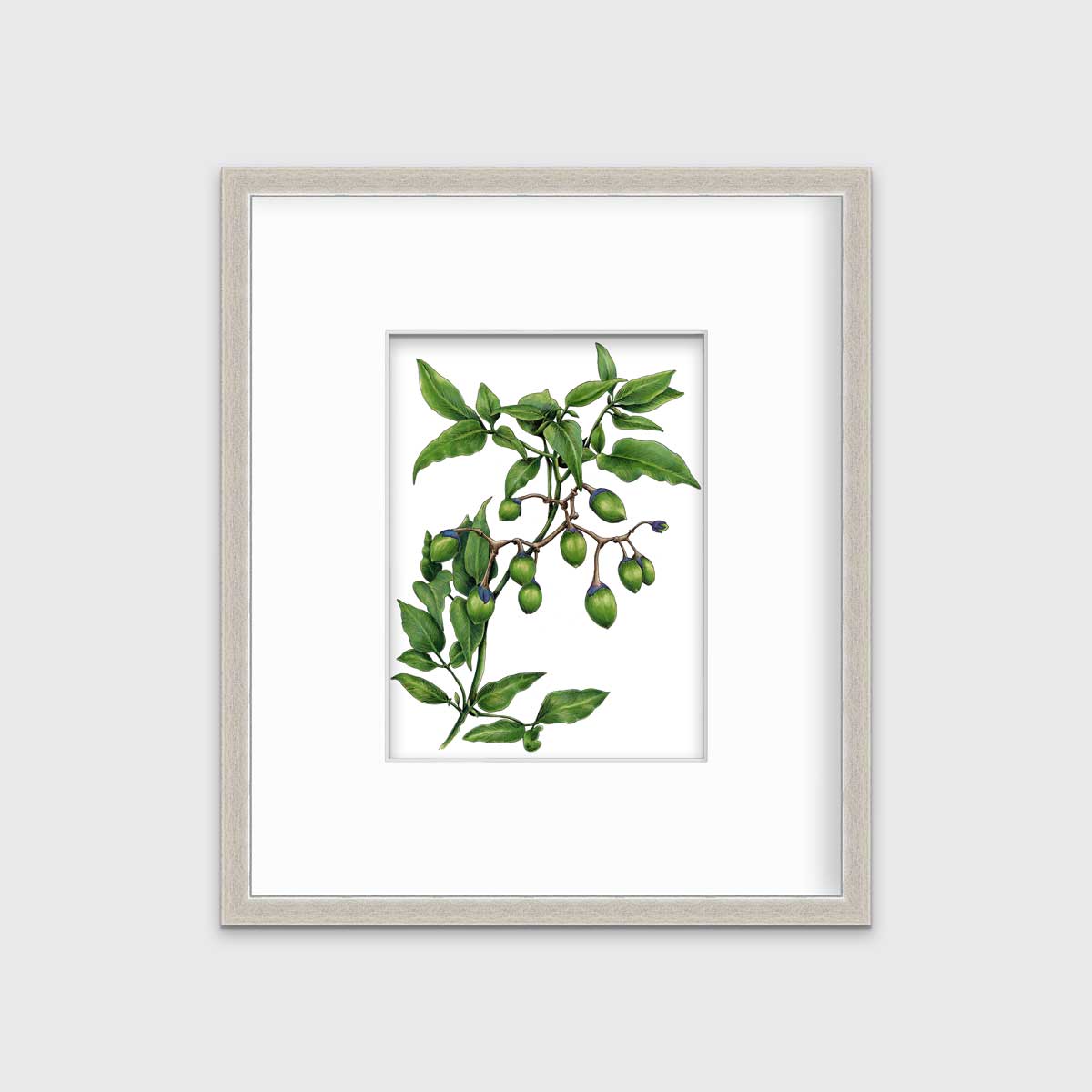 A green plant print in a silver frame with a mat hangs on a white wall.