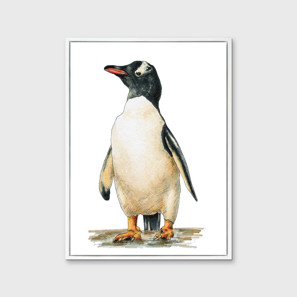 A penguin print in a white floater frame hangs on a white wall.