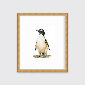 An art print of a penguin framed in a gold frame with a mat hangs on a white wall.