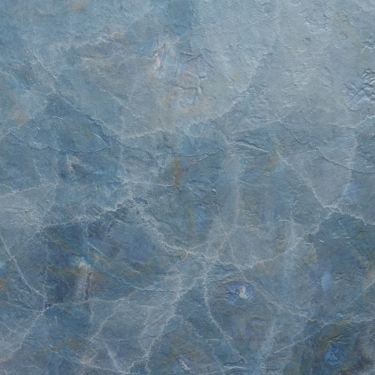 Cocilliana II - Original Painting *