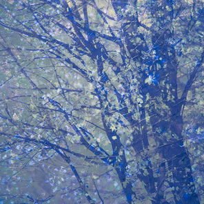 An abstract photograph of blue trees by Tori Gagne. 
