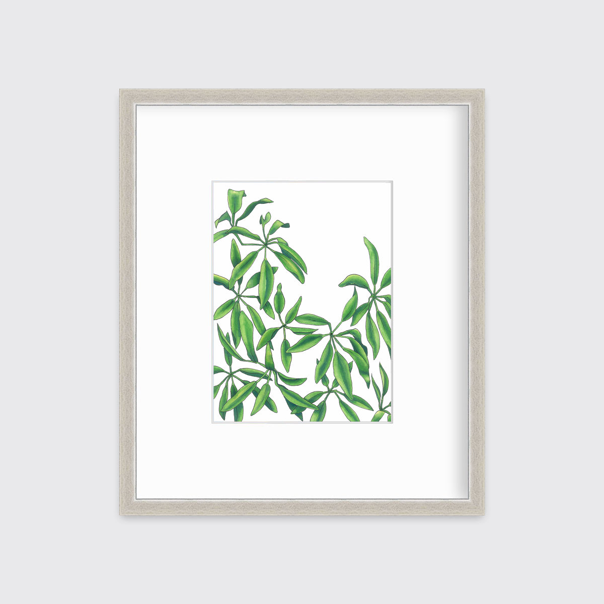 A print of a green plant in a silver frame with a mat hangs on a white wall.