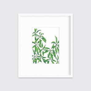 A print of a green plant in a white frame with a mat hangs on a white wall. 