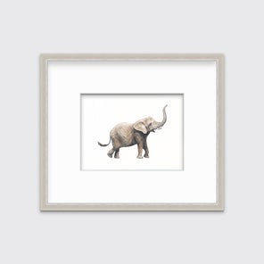 An elephant print in a silver frame with a mat hangs on a white wall.