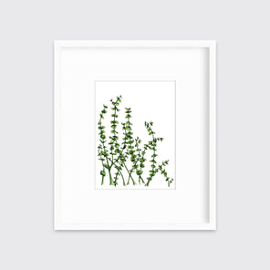 A print of green eucalyptus stems in a white frame with a mat hangs on a white wall.