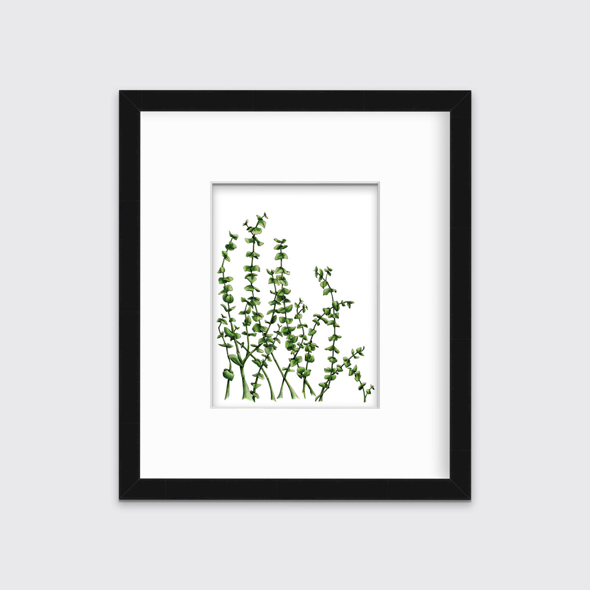A print of green eucalyptus stems in a black frame with a mat hangs on a white wall.