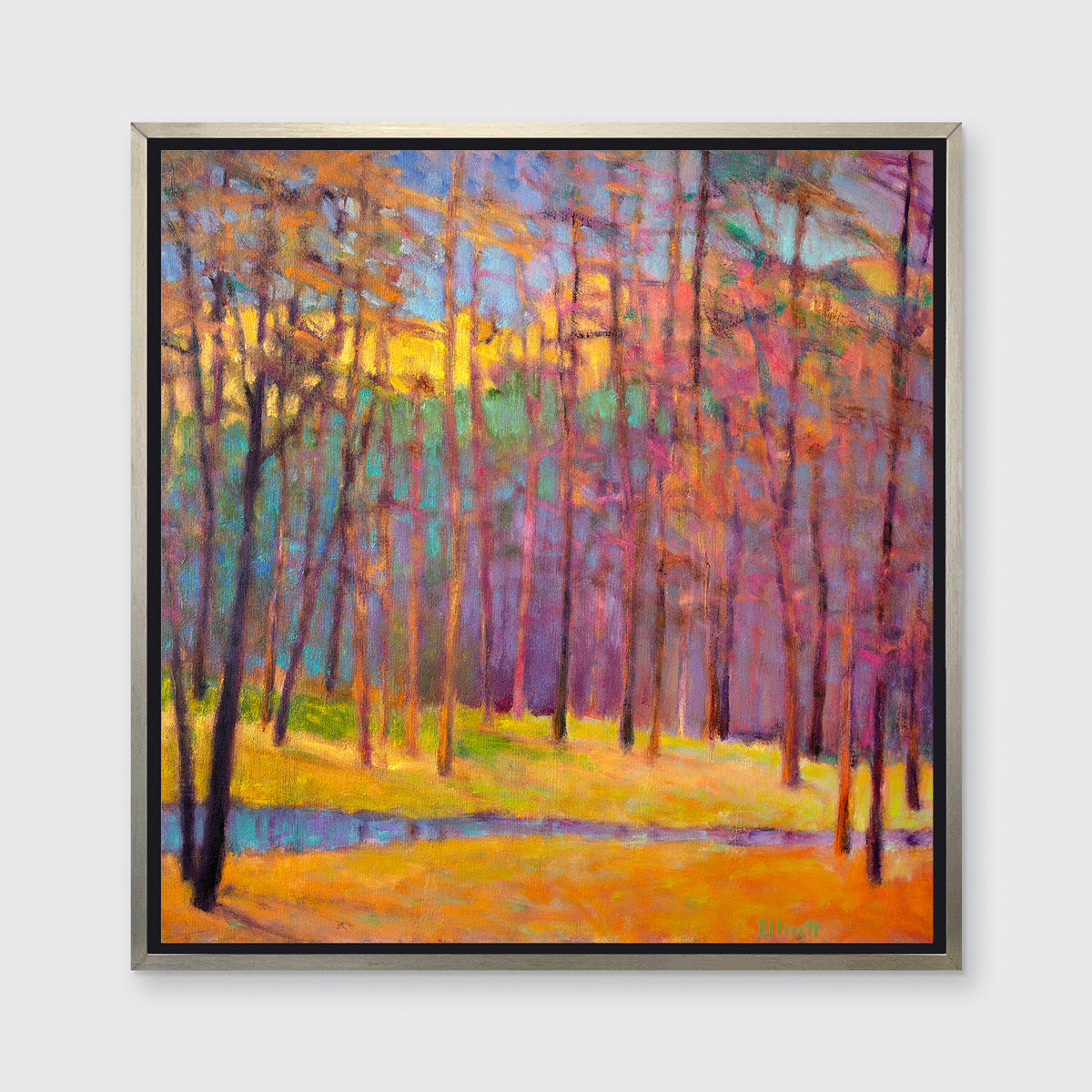 Forest Colors Arrayed - Open Edition Canvas Print – Sorelle Gallery ...