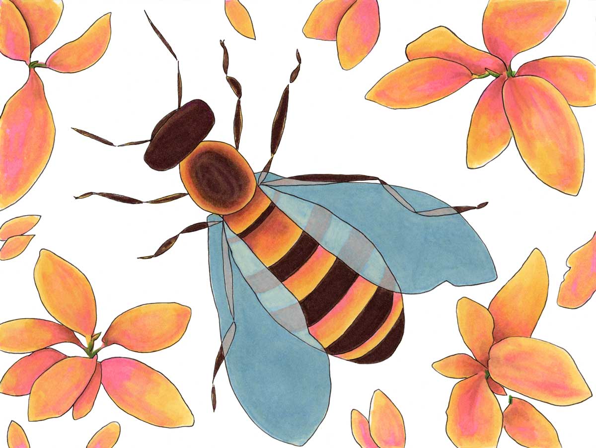 A orange and brown bee with blue translucent wings surrounded by orange and pink flowers.