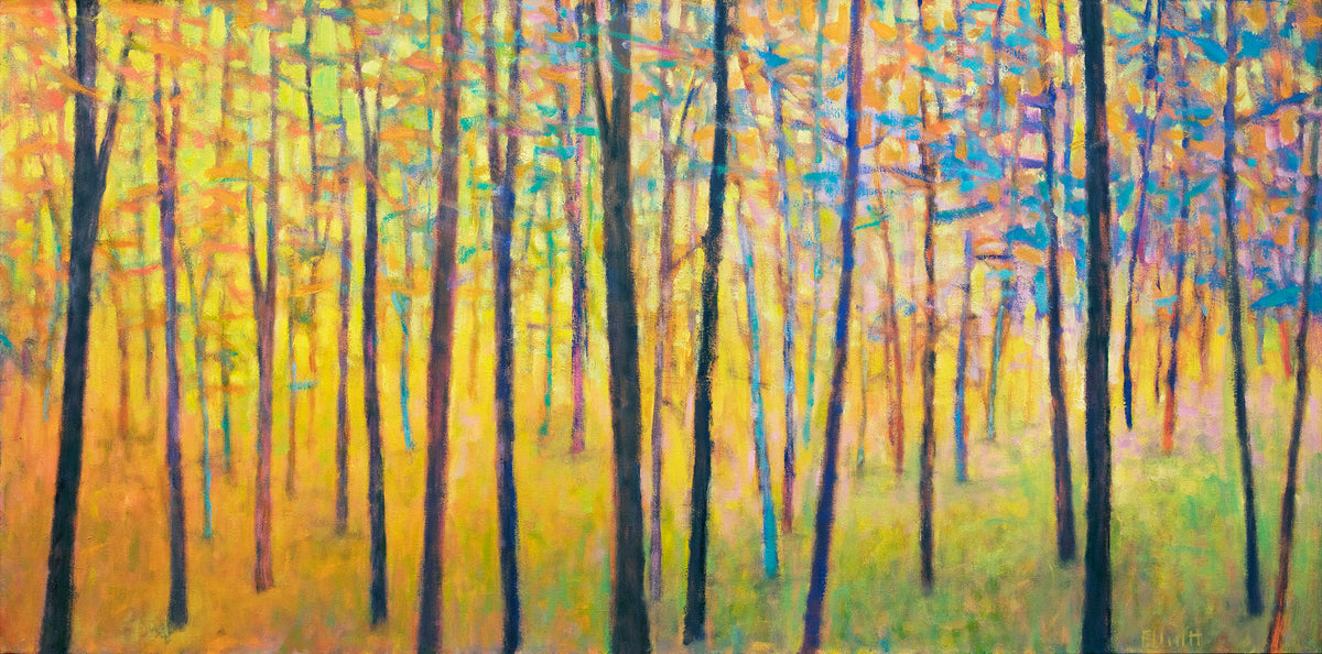 In the Colorful Forest
