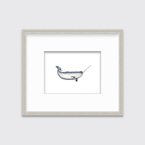 A blue and white narwhal print in a silver frame with a mat hangs on a white wall.