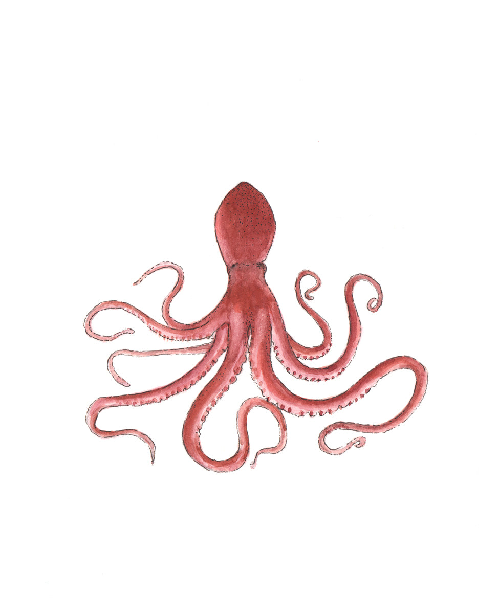 A pink octopus print by Laerta Premto.
