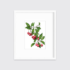A red berry and green leaf print in a white frame with a mat hangs on a white wall.