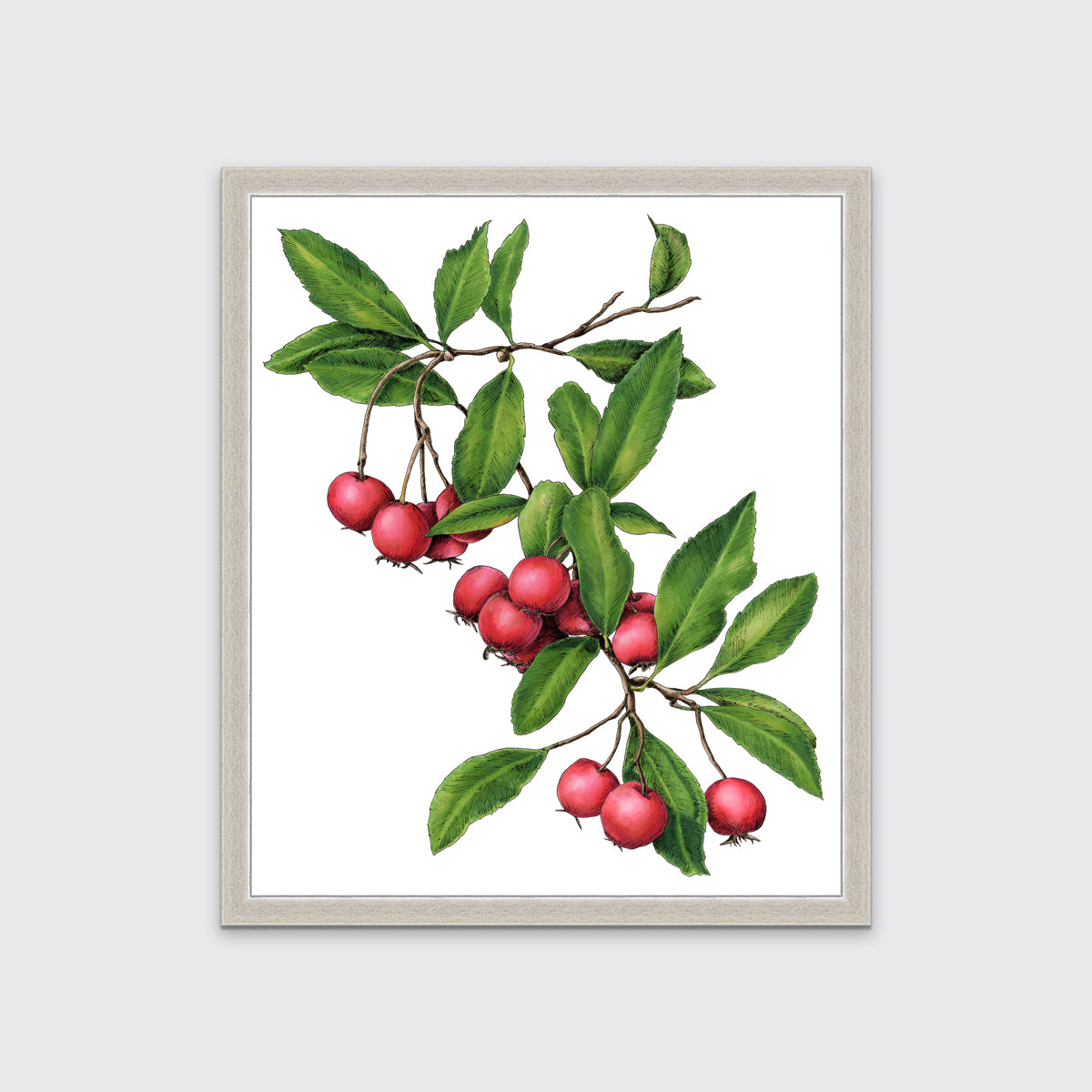 A red berry and green leaf print in a unmatted silver frame hangs on a white wall.