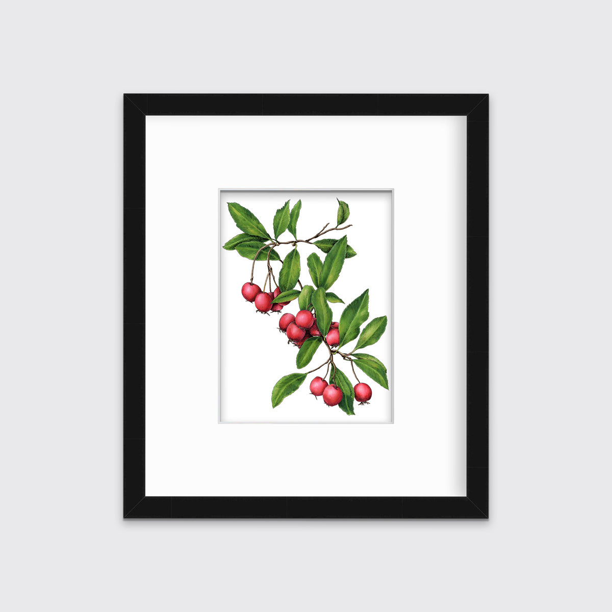 A red berry and green leaf print in a black frame with a mat hangs on a white wall.