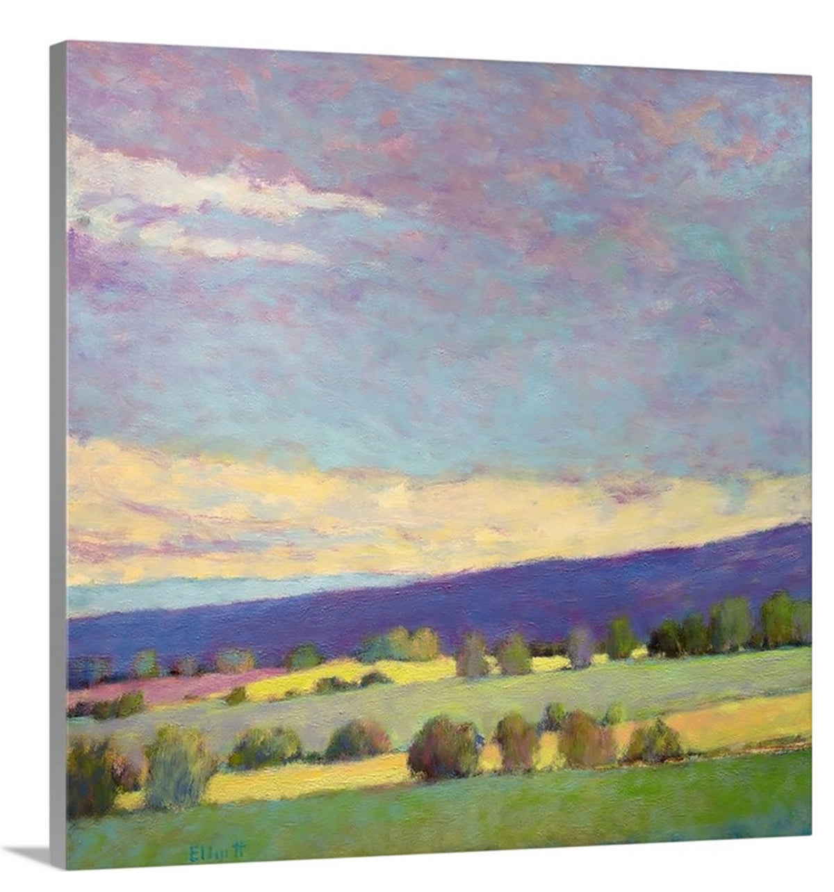 Summer Song - Open Edition Canvas Print