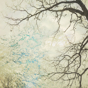 An abstract photograph of a tree by Tori Gagne. 
