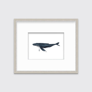 A blue and white whale print in a silver frame with a mat hangs on a white wall.