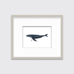 Whimsical Whale - Open Edition Print