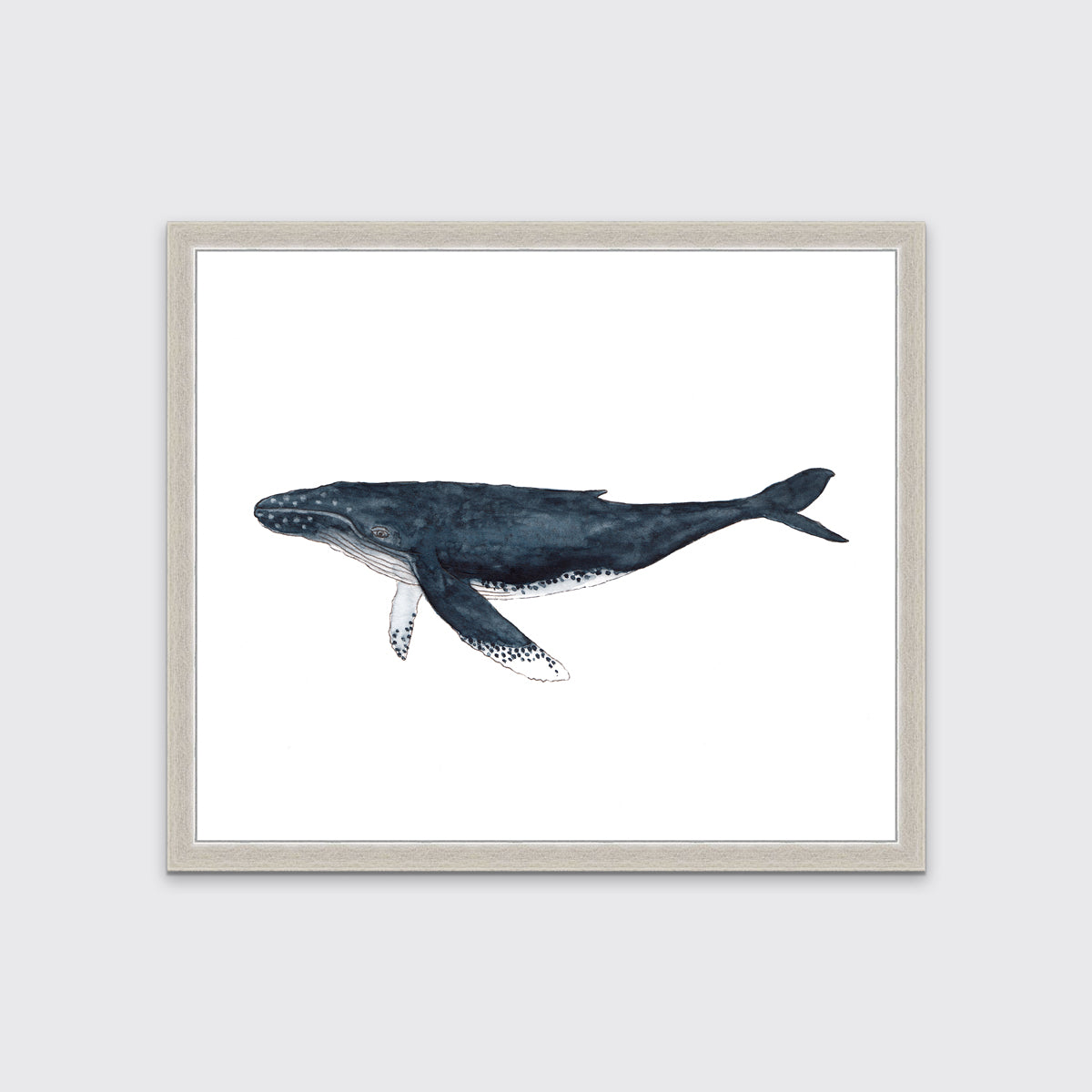 A blue and white whale print in an unmatted silver frame hangs on a white wall.