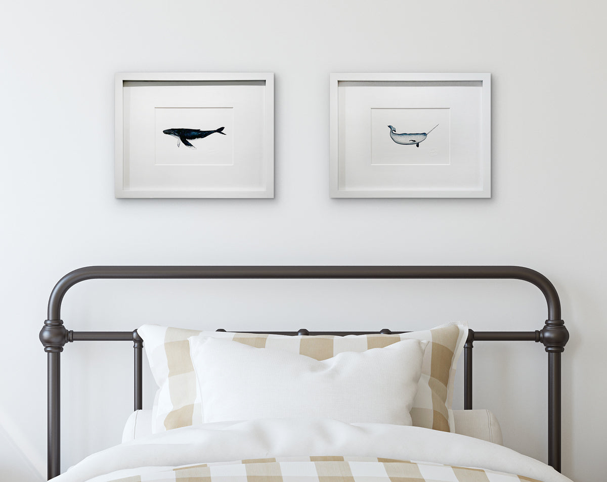 Two illustration drawings of sea creatures in white frames with mats hang on a white wall above a wrought-iron bed with neutral bedding.