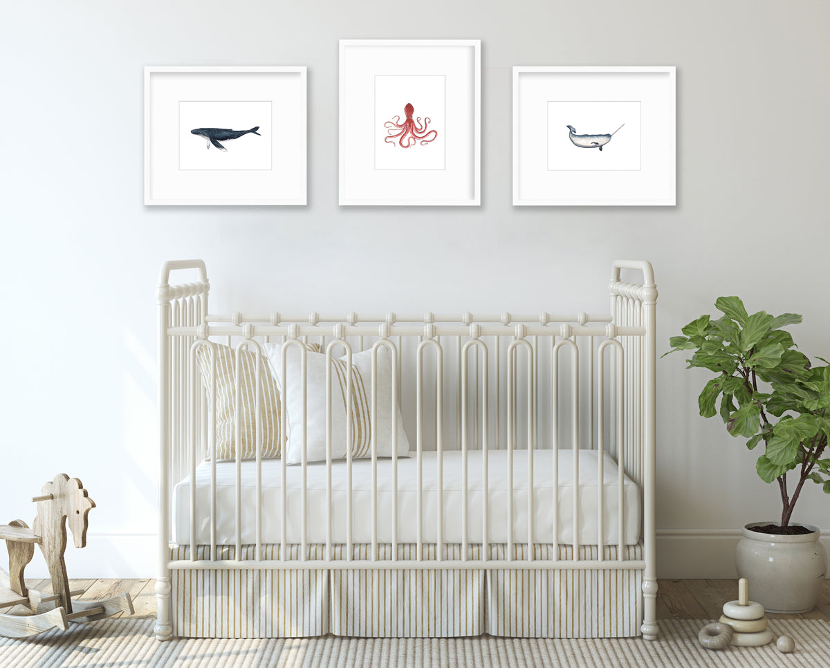 Three sea creature prints in white frames with mats hang side by side above a white iron crib with neutral bedding, a wooden rocking horse and a potted plant.