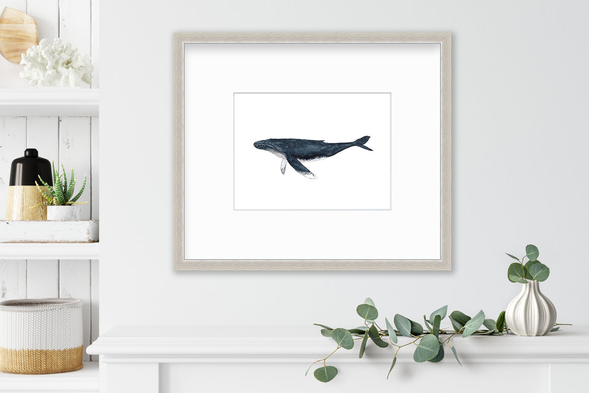 A blue and white whale print in a silver frame with a mat hangs on a white wall above a white shelf with a eucalyptus filled white vase and next to a built in bookshelf with decorative accessories.