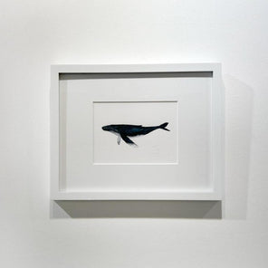 A blue, white and black illustration drawing of a whale in a white frame with a mat hangs on a white wall.