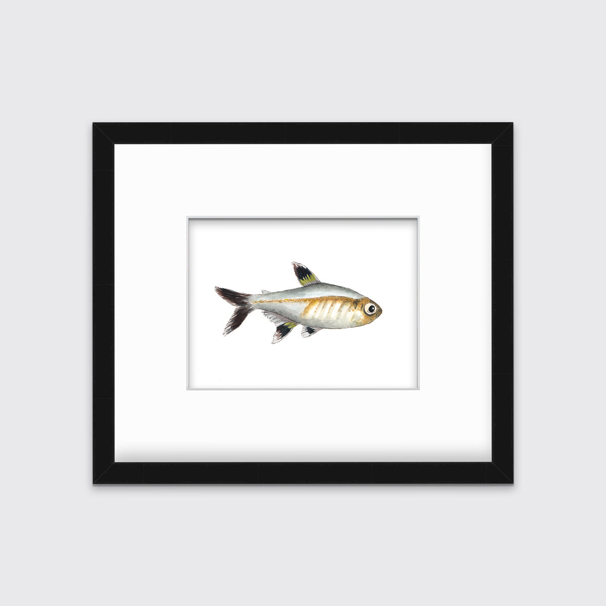 A black, silver and brown fish print in a black frame with a mat hangs on a white wall.