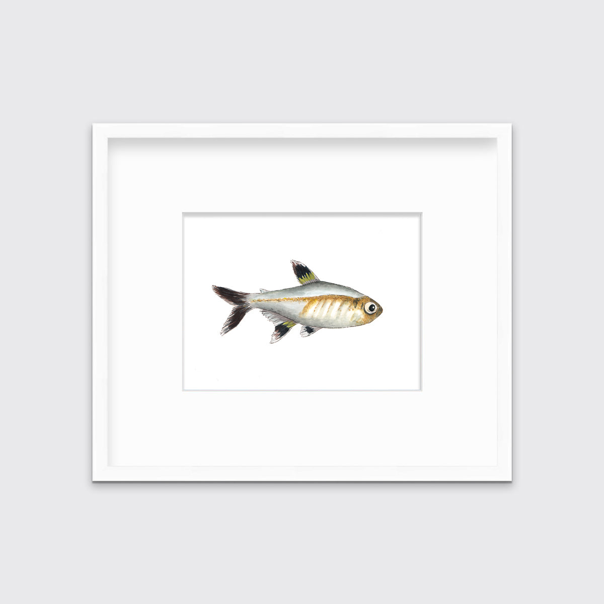 A black, silver and brown fish print in a white frame with a mat hangs on a white wall.
