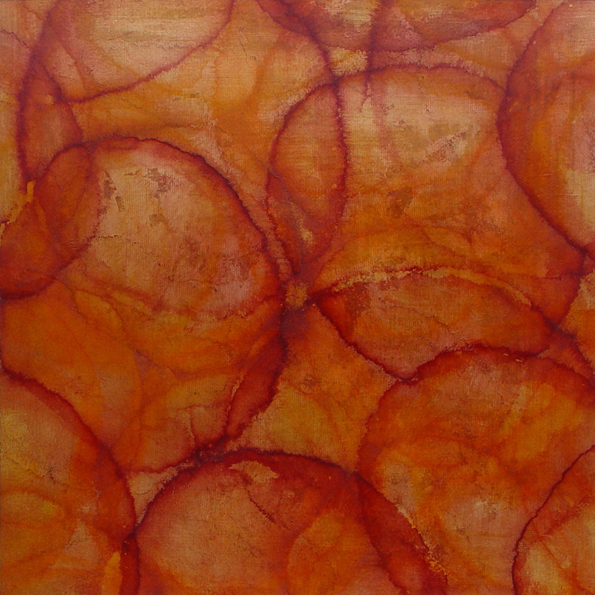 Acacias - Original Painting *
