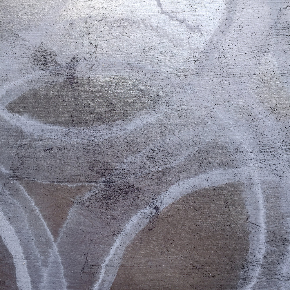 FoetidissimaDetail1.jpg