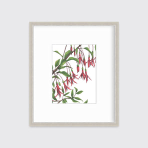 Red flowers with a brown stem and leaves print in a silver frame with a mat hangs on a white wall.